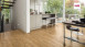 HARO Korkboden zum Klicken Corkett Arteo XL Eiche Portland naturell         (537265)