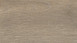 HARO TRITTY 200 Aqua Eiche Veneto mocca  (537373)