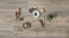 MEISTER Designboden - MeisterDesign DD 200 Wildeiche grau 6977
