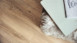 MEISTER Bio-Klick Designboden - MeisterDesign comfort DD600S Desert Oak 6998