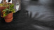 MEISTER Bio-Klick Designboden - MeisterDesign flex DB 400 Black Lava 7323