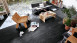 MEISTER Bio-Klick Designboden - MeisterDesign comfort DB 600S Black Lava 7323