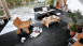 MEISTER Bio-Klick Designboden - MeisterDesign flex DB 400 Black Lava 7323