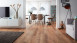planeo Klick Vinyl - Objekt Plus Golden Oak Natural (STA-96712)