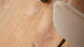 planeo Klick Vinyl - Objekt Plus Golden Oak Natural (STA-96712)