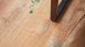 planeo Klick Vinyl - Objekt Plus Golden Oak Natural (STA-96712)
