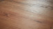 planeo Klick Vinyl - Objekt Plus Golden Oak Natural (STA-96712)