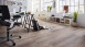 planeo Objekt Plus - Golden Oak White Klick-Vinyl