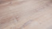 planeo Objekt Plus - Golden Oak White Klick-Vinyl