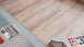 planeo Objekt Plus - Golden Oak White Klick-Vinyl