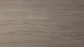 KWG Klick Vinyl Multilayer - Antigua Infinity Sibirische Ulme (900303)