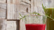planeo WoodWall - Teakwood Java