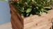 planeo WoodWall - Teakwood Classic Sumatra