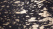 planeo Teppich - Glam 110 Schwarz / Gold 