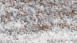 planeo Teppich - Sicilia - Messina Beige / Silber 