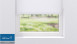 planeo Rollo 25mm TL Screen - Weiss