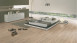 Wineo Klick-Vinyl Multilayer - 400 wood Compassion Oak Tender (MLD00109)