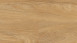 planeo Klebevinyl - Zuhause Summer Oak Golden (DB00118)