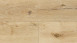 Wineo Klebevinyl - 400 wood XL Luck Oak Sandy (DB00127)
