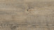 Wineo Klick-Vinyl - 400 wood Embrace Oak Grey (DLC00110)