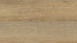 Wineo Klick-Vinyl Multilayer - 400 wood XL Joy Oak Tender (MLD00126)