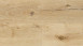 Wineo Klick-Vinyl - 400 wood XL Luck Oak Sandy (DLC00127)
