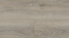 Wineo Klick-Vinyl - 400 wood XL Memory Oak Silver (DLC00132)