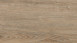 Wineo Klick-Vinyl - 800 wood XL Clay Calm Oak (DLC00062)