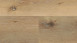 Wineo Klick-Vinyl - 800 wood XL Corn Rustic Oak (DLC00064)