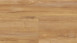 Wineo Klick-Vinyl - 800 wood Honey Warm Maple (DLC00081)