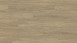Wineo Klick-Vinyl Multilayer - 400 wood Paradise Oak Essential (MLD00112)