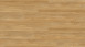 Wineo Klick-Vinyl - 400 wood Summer Oak Golden (DLC00118)