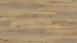 Wineo Klick-Vinyl Multilayer - 400 wood XL Joy Oak Tender (MLD00126)