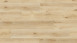 Wineo Klick-Vinyl - 400 wood XL Luck Oak Sandy (DLC00127)