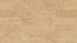 Wicanders Korkboden zum Klicken - Cork Essence Identity Champagne (I805002)
