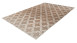 planeo Teppich - Monroe 100 Taupe 