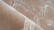 planeo Teppich - Monroe 100 Taupe 
