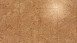 Wicanders Korkboden zum Klicken - Cork Essence Originals Accent (O841002)