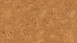 Wicanders Korkboden zum Klicken - Cork Essence Originals Accent (O841002)