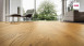 Haro Parkett - Serie 4000 naturaLin plus Eiche Sauvage (528695)
