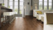 Wineo Bioboden - 1500 wood L Klebevinyl Noble Elm (PL081C)