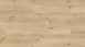 Wineo Bioboden - 1500 wood XL Klebevinyl Village Oak Cream (PL087C)