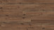 Wineo Bioboden - 1500 wood XL Klebevinyl Village Oak Brown (PL088C)