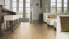 Wineo Bioboden - 1500 wood XL Klebevinyl Western Oak Cream (PL094C)