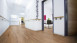 Wineo Bioboden - 1500 wood XL Klebevinyl Western Oak Desert (PL095C)