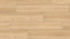 Wineo Bioboden - 1500 wood XL Klebevinyl Queen's Oak Amber (PL096C)