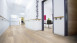 Wineo Bioboden - 1500 wood XL Klebevinyl Queen's Oak Pearl (PL097C)