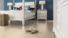 Wineo Bioboden - 1500 wood XL Klebevinyl Native Ash (PL099C)