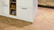 Project Floors Klebevinyl - Herringbone PW 1633-/HB (PW1633HB)