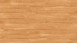 Project Floors Klebevinyl - floors@work55 PW 1905/55 (PW190555)